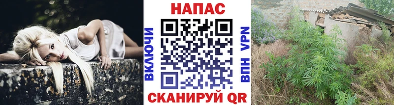 Бошки марихуана AK-47  наркота  Сасово 